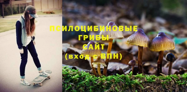 прущая мука Беломорск