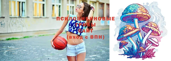 мет Белокуриха